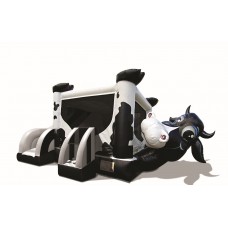 COW BELLY COMBO